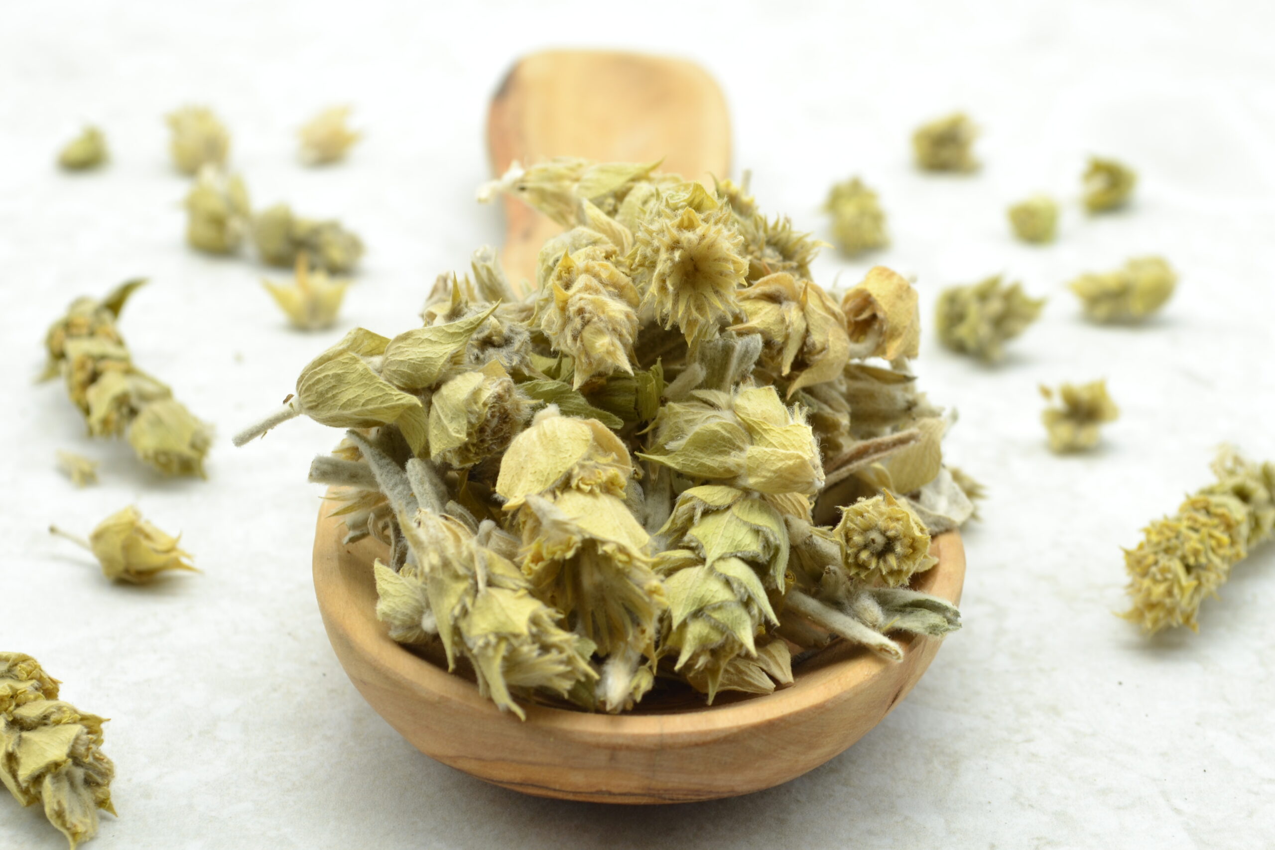 Getrocknete ganze Stängel und Blüten des Griechischen Bergtees (Sideritis) in einer Packung.